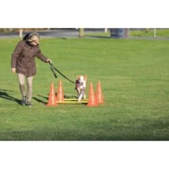 Trixie Dog Activity Hindernisse Ø30x50cm 9 Trixie Dog Activity Hindernisse Ø30x50cm -Hochwertiger Tierbedarfsladen 91cbc45b90b8a0cfe868659f3dcf31f8aff28e6a 1287033 de DE Trixie Hindernisse wb 2