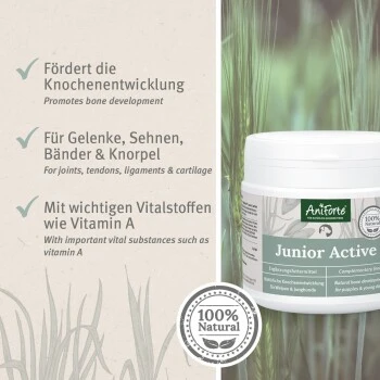 Aniforte Junior Active 250 G 7 Aniforte Junior Active 250 G – Bild 5