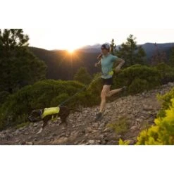 Ruffwear Trail Runner™ Laufgurt Limonen Gelb L-XL -Hochwertiger Tierbedarfsladen 93a58c4fc27710218901d94aece28188b07bd319 1651444 de DE 8247d7fe22d77de2e7ea731c778011a0fe985828KUUc7c