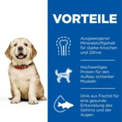 Hill's Science Plan Puppy Large Breed 16 Kg 13 Hill's Science Plan Puppy Large Breed 16 Kg -Hochwertiger Tierbedarfsladen 96858085f1bc3cabf1fc66738fe77472be488f76 52742026084 4