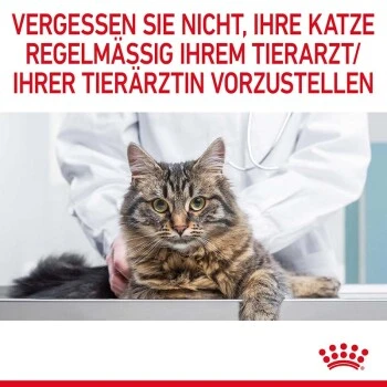 ROYAL CANIN Hair & Skin Care 2 Kg 11 ROYAL CANIN Hair & Skin Care 2 Kg – Bild 9