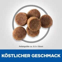 Hill's Science Plan Puppy Large Breed 16 Kg 15 Hill's Science Plan Puppy Large Breed 16 Kg -Hochwertiger Tierbedarfsladen 9703de0a9d064d2c217aa73a6698e0b80dd202dc 52742026084 6