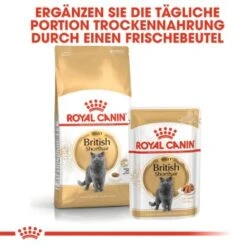 ROYAL CANIN British Shorthair 12x85g -Hochwertiger Tierbedarfsladen 979463e526b8aec711ad3c08fb414444e9d36d40 4c88cd0b2bc9c30f47889b3683ee9f7b75c80663