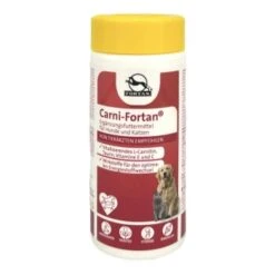 Fortan Carni-Fortan Pulver Mit L-Carnitin 80 G