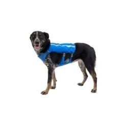 Ruffwear Trail Runner™ Weste Blau XS 19 Ruffwear Trail Runner™ Weste Blau XS -Hochwertiger Tierbedarfsladen 98442c3f4ada02dc38bbe918031392b2ba7e1943 1639640 de DE 57b978069b1aa95a705eb1af32811decb2e9cfecAOoih7