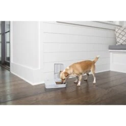 PetSafe Futterautomat Für 2 Mahlzeiten 25 PetSafe Futterautomat Für 2 Mahlzeiten -Hochwertiger Tierbedarfsladen 98670f242f118bad629edcf021dc784c6a55633d 1343837 2
