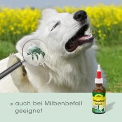 CdVet Ohrenpflege 50ml 16 CdVet Ohrenpflege 50ml -Hochwertiger Tierbedarfsladen 996bc55aca7303d71af6872442ff47b85087fa20 1322257 de DE 913b3fb28cb4c7cbb549b216ae11f3b04ff5ee25VNtsyN