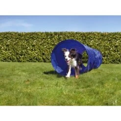 AniOne Agility Tunnel -Hochwertiger Tierbedarfsladen 9b82da119a923abe80bb6d63ef97328c5e1e7dcf 2dc906b772e837b2770e0f896237c640992fd5d2