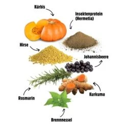 Eat Small EatSmall 12x 800g Nassfutter Wald 14 Eat Small EatSmall 12x 800g Nassfutter Wald -Hochwertiger Tierbedarfsladen 9bcc5f530bbde6073c434a4853e053336c49e54d 1480176 de DE 14f419f82fdd97b5787fae56c3d39024e10a9a84yeulWM