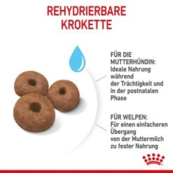 ROYAL CANIN Giant Starter 15kg -Hochwertiger Tierbedarfsladen 9bdc03bdb1381936f98533e63f927e8c42e86435 3182550778831 6