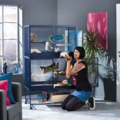 Savic Kleintierheim Royal Suite -Hochwertiger Tierbedarfsladen 9c12cc7aeacc1bbd7d9b8bb6342bd96d8ea811be 7be165c8cbaac0d634eb51ae80ebbc609960afdb