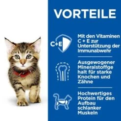 Hill's Science Plan Healthy Cuisine Kitten Ragout Multipack 24x80 G 11 Hill's Science Plan Healthy Cuisine Kitten Ragout Multipack 24x80 G -Hochwertiger Tierbedarfsladen 9cc7542d56e101119b2981756afe9af54d6b4d74 1386411 de DE hills 5