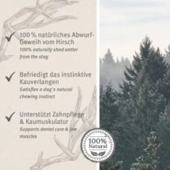 Aniforte Hochland Hirschgeweih Large -Hochwertiger Tierbedarfsladen 9dcf0f27be6849c765e8a9e12cd266dd1588a12d 1656976 de DE ac8dd6a0786bd0be0560fc7bc4de242434c219127XG5KZ