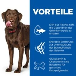 Hill's Science Plan Healthy Mobility Large Breed Adult 1+ Mit Huhn 14 Kg 11 Hill's Science Plan Healthy Mobility Large Breed Adult 1+ Mit Huhn 14 Kg -Hochwertiger Tierbedarfsladen 9e8905fa913b1b9fe4d774fbfdfb66c9ce3ad66e 52742026015 4