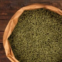 Knabbermann Carangas Meerschweinchenfutter 5 Kg -Hochwertiger Tierbedarfsladen a2e9cfd2264a4440e350760ec4221a6690c6de11 1428488 de DE 94a0405cce40204948fd074580f5b244e504aac3WMbRWS