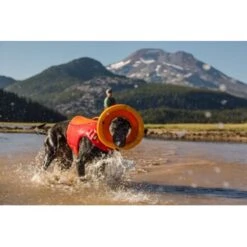 Ruffwear Hydro Plane™ Spielzeug M Orange -Hochwertiger Tierbedarfsladen a3976cd8510df92d7b86f42c35fd984bc0313421 1364300 de DE 7e1ea9adae25d55e79a8aed2cc6dc797ac8d0d03R1qvUL