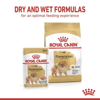 ROYAL CANIN BHN Pomeranian 1,5 Kg 18 ROYAL CANIN BHN Pomeranian 1,5 Kg – Bild 16