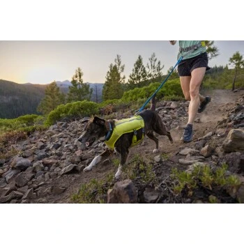 Ruffwear Trail Runner™ Leine 10 Ruffwear Trail Runner™ Leine – Bild 8