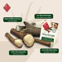 ChronoBalance Geweih Halbiert (XXL) 2er Paket 13 ChronoBalance Geweih Halbiert (XXL) 2er Paket -Hochwertiger Tierbedarfsladen a6401578a55c212a3a1a86d9891145933913ef92 1418689 de DE 902a389be4b99eb60431c66affbaefe4377d7689afLNCu