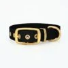 THE DOG IDEA Biothane Halsband Gold Schwarz XS 2 THE DOG IDEA Biothane Halsband Gold Schwarz XS -Hochwertiger Tierbedarfsladen a6b276cc50b0e3acc110ad8e8dc7eb2f32cc28cc 1655410 de DE e4c508bf9703480631764e9dcee2b0314ddae331ZsGd11