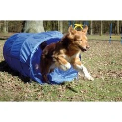 Dobar Agility Tunnel, 60 X 500 Cm 8 Dobar Agility Tunnel, 60 X 500 Cm -Hochwertiger Tierbedarfsladen a70db425a55e65c0dd33cb4658677f3cead28e72 3dc1d9596c73e287c8ea8bc83f8445abe7adc92a