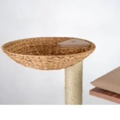 Silvio Design Katzenbaum Cosy Sky Walnuss -Hochwertiger Tierbedarfsladen a8d5032b9ff6d99ebb489c04489a20c7a3b3fd34 9e7a063dba43e8946a5795275d0efd0af2a99827