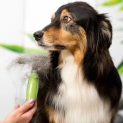 Moser Unterwollrechen -Hochwertiger Tierbedarfsladen a9457afef8cc9854b1cc05428060e6aca1aa62d7 f209ef3f70da272484eca7394d5156f09925de7d