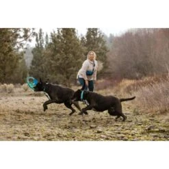 Ruffwear Pacific Ring™ Spielzeug Blau/ Türkis -Hochwertiger Tierbedarfsladen aaae4ecd59db92ffe25787fd56b7315d42974ecb 1444351 de DE f747ae339bc2beff156a317c539c1237b854177bd9ZZMN
