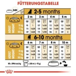 ROYAL CANIN Jack Russel Terrier Puppy 1,5kg 10 ROYAL CANIN Jack Russel Terrier Puppy 1,5kg -Hochwertiger Tierbedarfsladen ab85d661c4e5bb2c820c8f349a18dfdf0641d825 108f0dcd1b74dfdfd767f33345bb88cf82380dd7