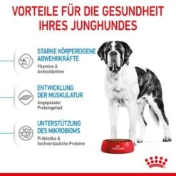 ROYAL CANIN Giant Junior 15 Kg -Hochwertiger Tierbedarfsladen ac9391ed060fc88f758d4d37f9e70e5ec4c12fb1 3182550707077 5