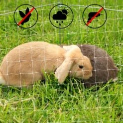 Lionto Katzennetz Inkl. Befestigung 8 Lionto Katzennetz Inkl. Befestigung -Hochwertiger Tierbedarfsladen ad1b651d8bcc461ab7a5d32a4c77b44e521cf768 1665913 de DE 7c500006d9abf3223e26fa8841d70bed2db024adIv4nbt