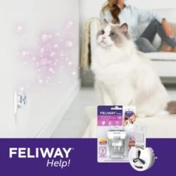 Feliway Help! 7 Tage Start-Set Zur Vorbeugung Von Stress -Hochwertiger Tierbedarfsladen af221c57f6ccc9e6f3f372e52503a2d7b9cf22d4 1380136 5