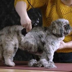 Moser Schermaschine Max 45 Inkl. ASK 11 Moser Schermaschine Max 45 Inkl. ASK -Hochwertiger Tierbedarfsladen b0d4eca208b1c44fde9769108a0a7feb3a3a5ad2 da57035be550c76ab9dcf7d8dbc15959d076f3f0