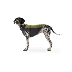 Ruffwear Climate Changer™ Fleece-Pullover Für Hunde Rot S -Hochwertiger Tierbedarfsladen b28669818d8fcb81e0661ed639732808849f280a 1369661 de DE 64aaf340211e6364e47cd57e7a205b9b6074a78fHTZZhE