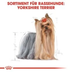 ROYAL CANIN Yorkshire Terrier Adult 1,5 Kg -Hochwertiger Tierbedarfsladen b2f5184395c498d76eeaf1a3805977dc6baac69a 8525a84bc8bceef91a6ba9ef3810aac1dcf98bbb