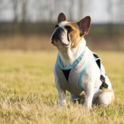 Trovet Suitical Kühlweste Dry Cool M -Hochwertiger Tierbedarfsladen b32e0654ab987d26790de796cf13d2e54cbed73f 1321386 de DE Trovet suitical 6 Kopie