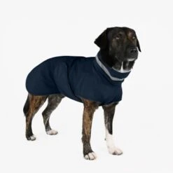 THE DOG IDEA Regenmantel Kayden Navy XXXS -Hochwertiger Tierbedarfsladen b34fa31ccdc4617a61beca0e9885f8d1738e0e5d 1681323 de DE 4f609ef4877a48b367fd5a50d483a13a07b6ca7blJ2zsD