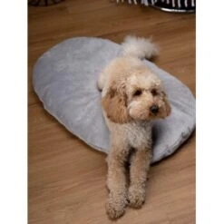 TrendPet Emma Liegekissen Grau S 9 TrendPet Emma Liegekissen Grau S -Hochwertiger Tierbedarfsladen b48aa1ae4cf4d68ec69ba4c37d516f74528715ee 1369472 de DE b2ffa28c3681679283b9f0b59962e0ca3348cc04HFyDSJ