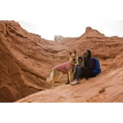 Ruffwear Hemp Hound™ Sweater Rosso M -Hochwertiger Tierbedarfsladen b5165b497ab2ca12deabc5b7372706595a781875 1639886 de DE 86e1a268a8e48c7c0eda07c50072b9e29b38b607mGQtvr