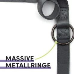 STUCH Hundeleine - Führleine - Large Grau -Hochwertiger Tierbedarfsladen b8aa24e27cbc4a178974cb09d87bbaf3f970df7e 1399116 de DE db6ead7203d242448ab935c04f029f56fb115743qrNPpj