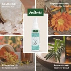 Aniforte Dentalspray Zahnpflege Spray 100ml -Hochwertiger Tierbedarfsladen b8c2494df30b706b215daba4b3b66c8a0a3adb3b 1439278 de DE f771ceb2289f6e14df78bea1815642d81ce3e3cf9ASqvV