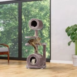 MORE FOR Kratzbaum Jive -Hochwertiger Tierbedarfsladen ba465afaa9ffb7d77bc7734ed7dbb785ff76646f d6a5a8b38136f1f66656c79e1a87133b075995b8