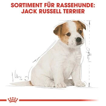 ROYAL CANIN Jack Russel Terrier Puppy 1,5kg 6 ROYAL CANIN Jack Russel Terrier Puppy 1,5kg – Bild 4