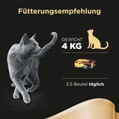 Sheba Delikatesse In Gelee 40x85g -Hochwertiger Tierbedarfsladen bbaa02f757fde6870dc20a49fc3a0038b9dee9ca da996aa0a5acf0483f2a5edefc15d5dc9cb6c05f