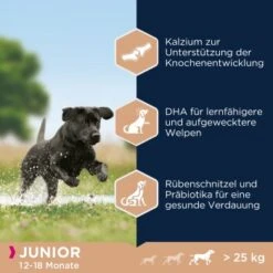 EUKANUBA Junior Large Breed Huhn 15kg 8 EUKANUBA Junior Large Breed Huhn 15kg -Hochwertiger Tierbedarfsladen bc6e563ed27330aa79e674a212590da414a07d03 1293660 de DE ask 3