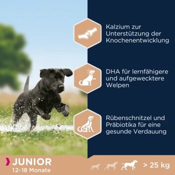 EUKANUBA Junior Large Breed Huhn 15kg 4 EUKANUBA Junior Large Breed Huhn 15kg – Bild 2