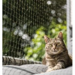 Trixie Katzenschutznetz Cat Protect 2 M, 1,5 M -Hochwertiger Tierbedarfsladen bc6f0b8052c3a5b997776619d64762770aac1a9d 1017572 de DE trixie schutznetz wb2