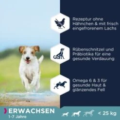 EUKANUBA Getreidefrei Mit Fisch Für Kleine Und Mittelgroße Rassen 2x12 Kg 6 EUKANUBA Getreidefrei Mit Fisch Für Kleine Und Mittelgroße Rassen 2x12 Kg -Hochwertiger Tierbedarfsladen bc9354ac8a5b7cf650929fbb09d6e78a81f782ec 1386485 de DE Eukanuba benefits