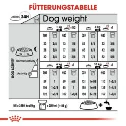 ROYAL CANIN Mini Sterilised 8 Kg 12 ROYAL CANIN Mini Sterilised 8 Kg -Hochwertiger Tierbedarfsladen bca34a809063a54c7549af216e4b4ad7b785bee9 a34e6e054fd0346848438c5e8c4ae8c587a48bd1