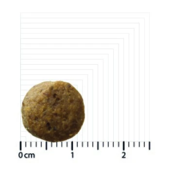 BOZITA Dog Original Puppy&Junior XL 12kg 4 BOZITA Dog Original Puppy&Junior XL 12kg – Bild 2